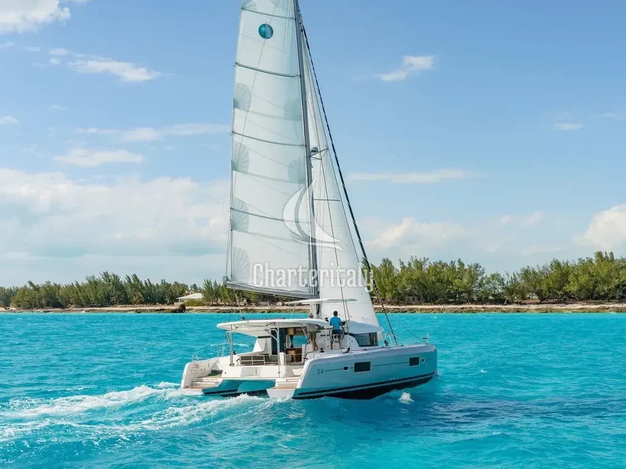 Lagoon 420 - 6 cab. - Dynamis - 4