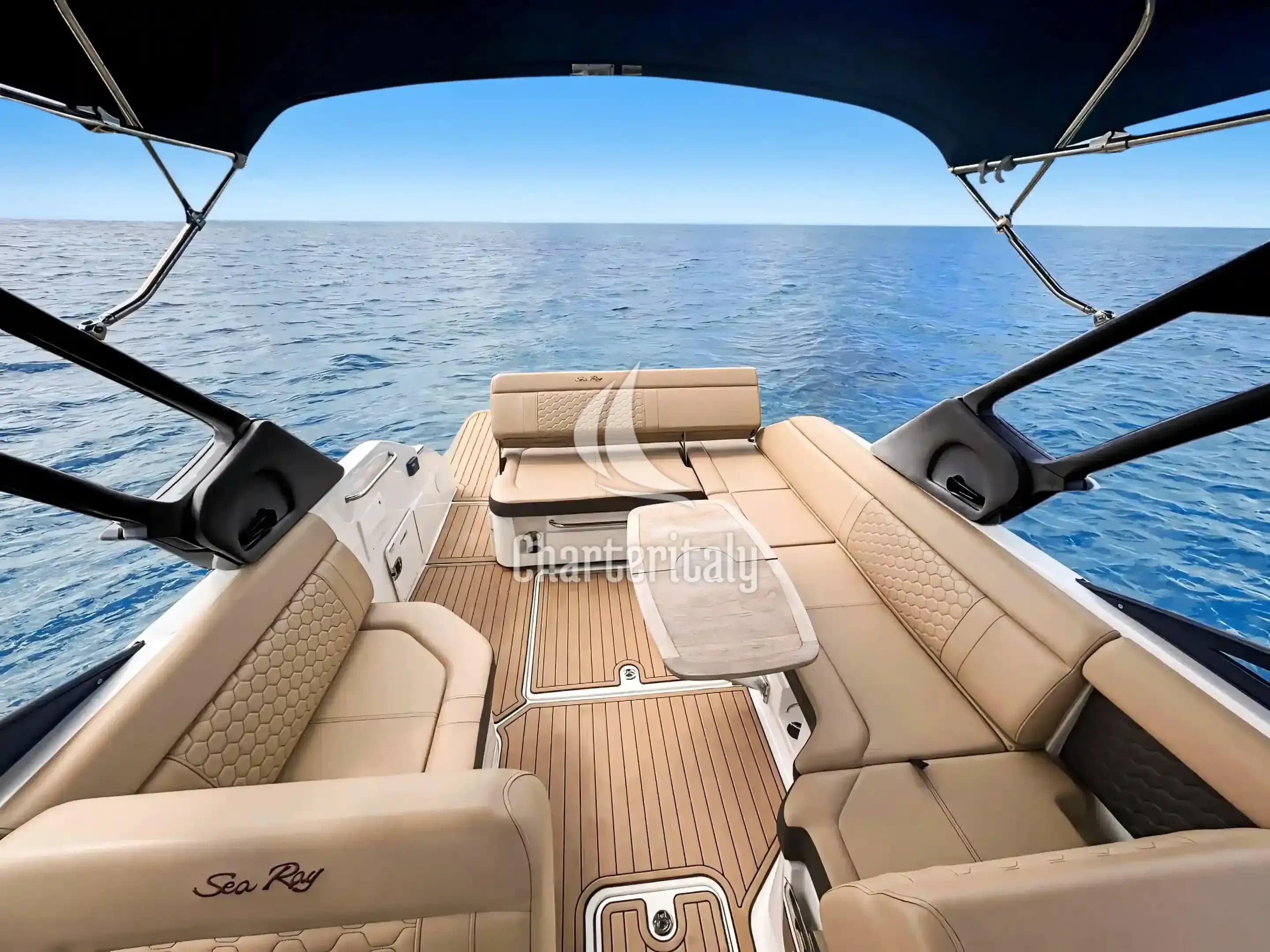 Sea Ray 250 SDX - Sea Ray - 4