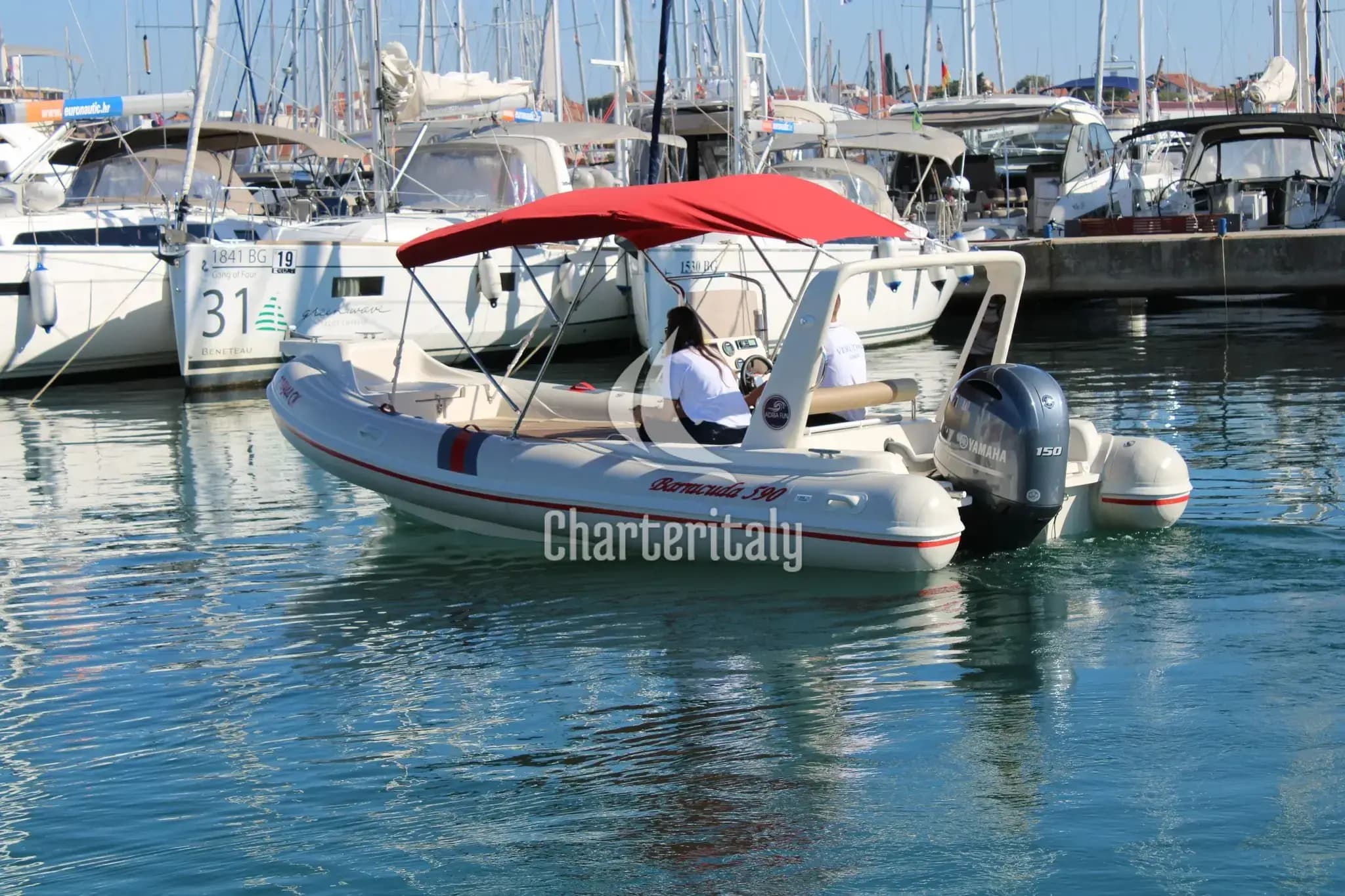 Barracuda 590 - Barracuda 590 - 11 - 3