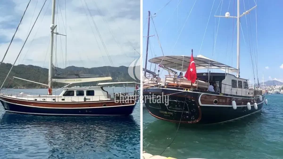 Custom built 183 - CARPEDIEM CORAL - 9