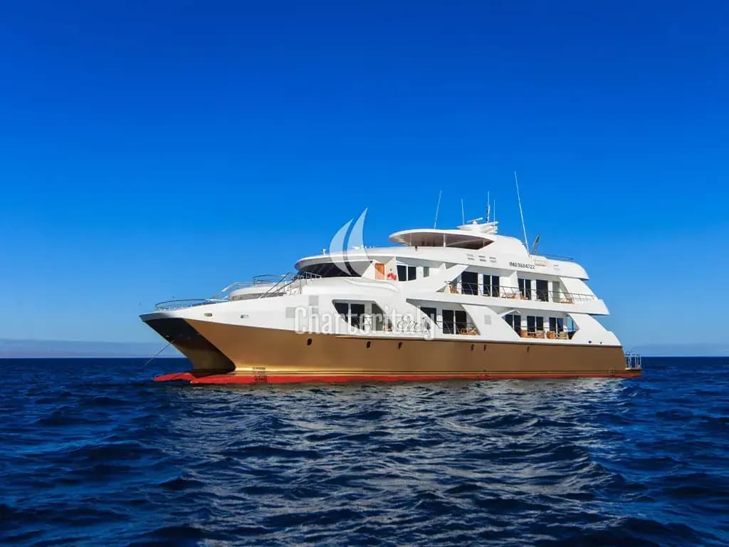 Power Catamaran - Elite - Cabin 1 - 2