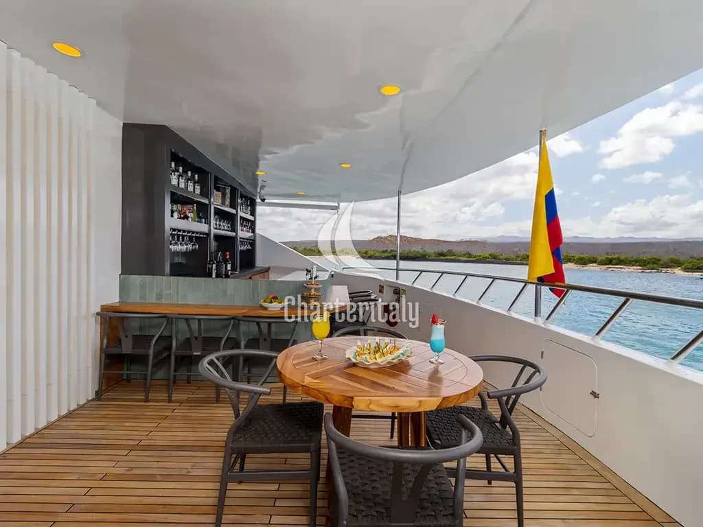 Power Catamaran - Endemic - 10