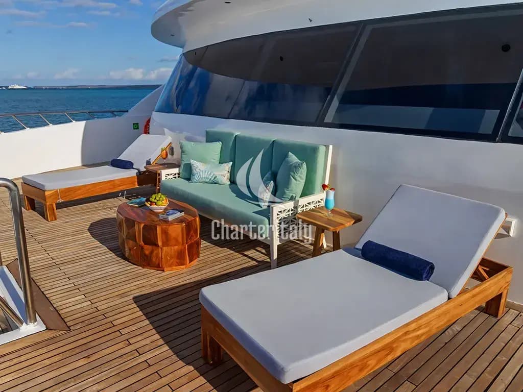 Power Catamaran - Endemic - 11