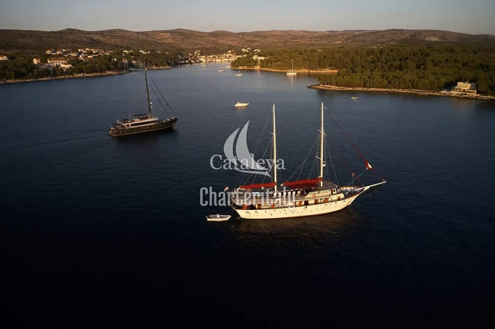 Cataleya - Cataleya - 21