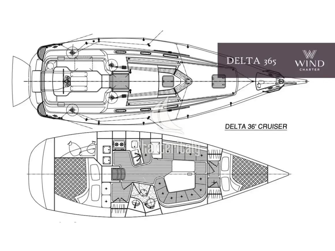 Delta 36 - Damis Jolie - 3