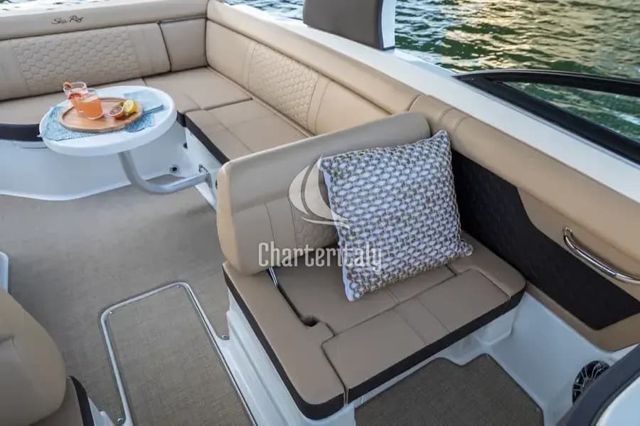Sea Ray SDX 270 - Happy Hours - 12