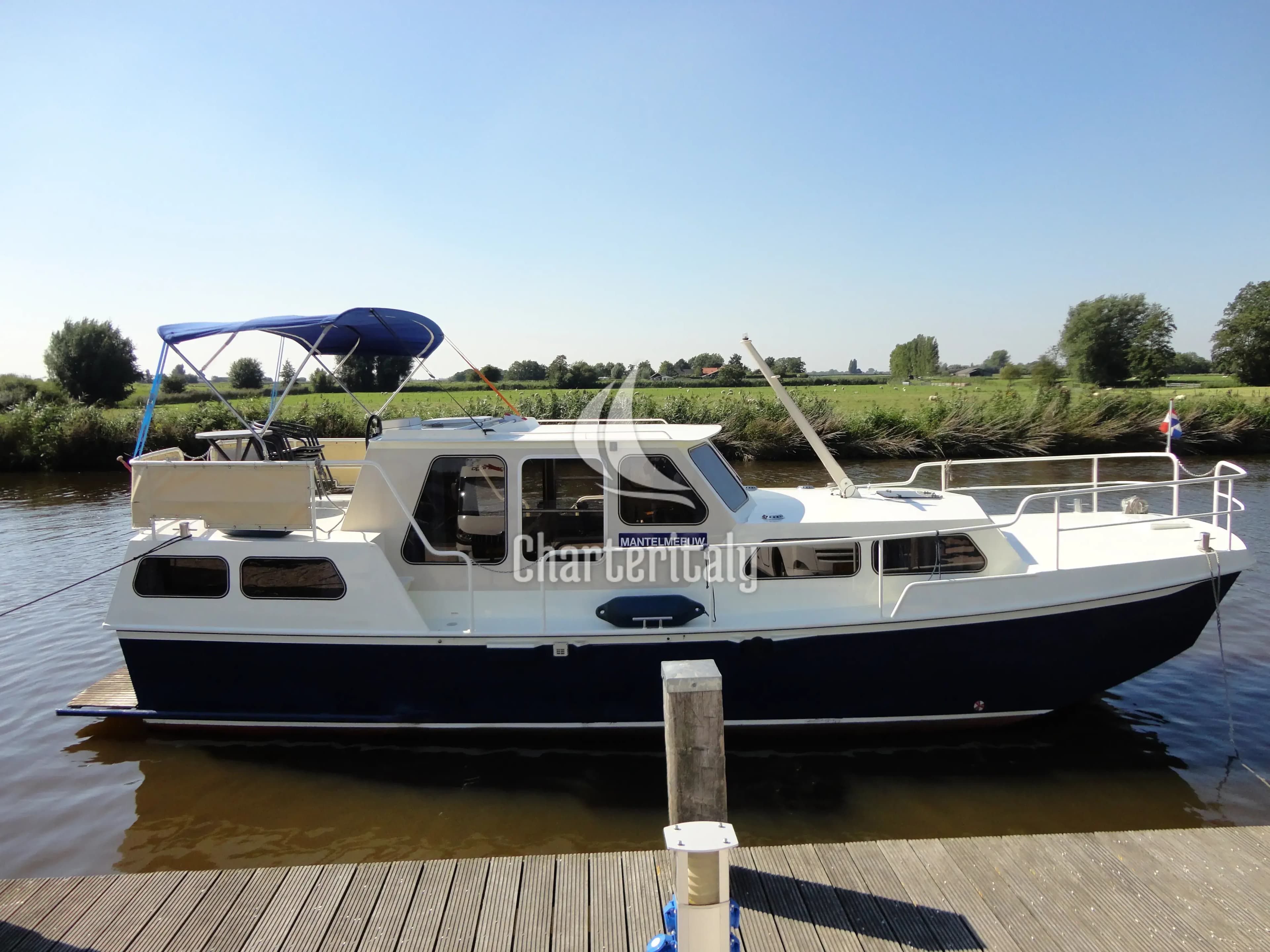 Rogger 1000 Salon - Mantelmeeuw - 1