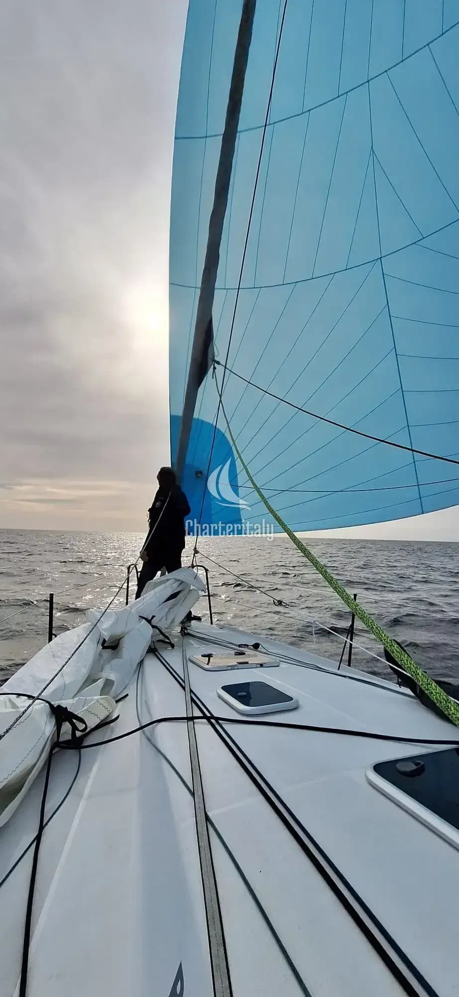 Pogo 36 - SILVER WAVE - 2