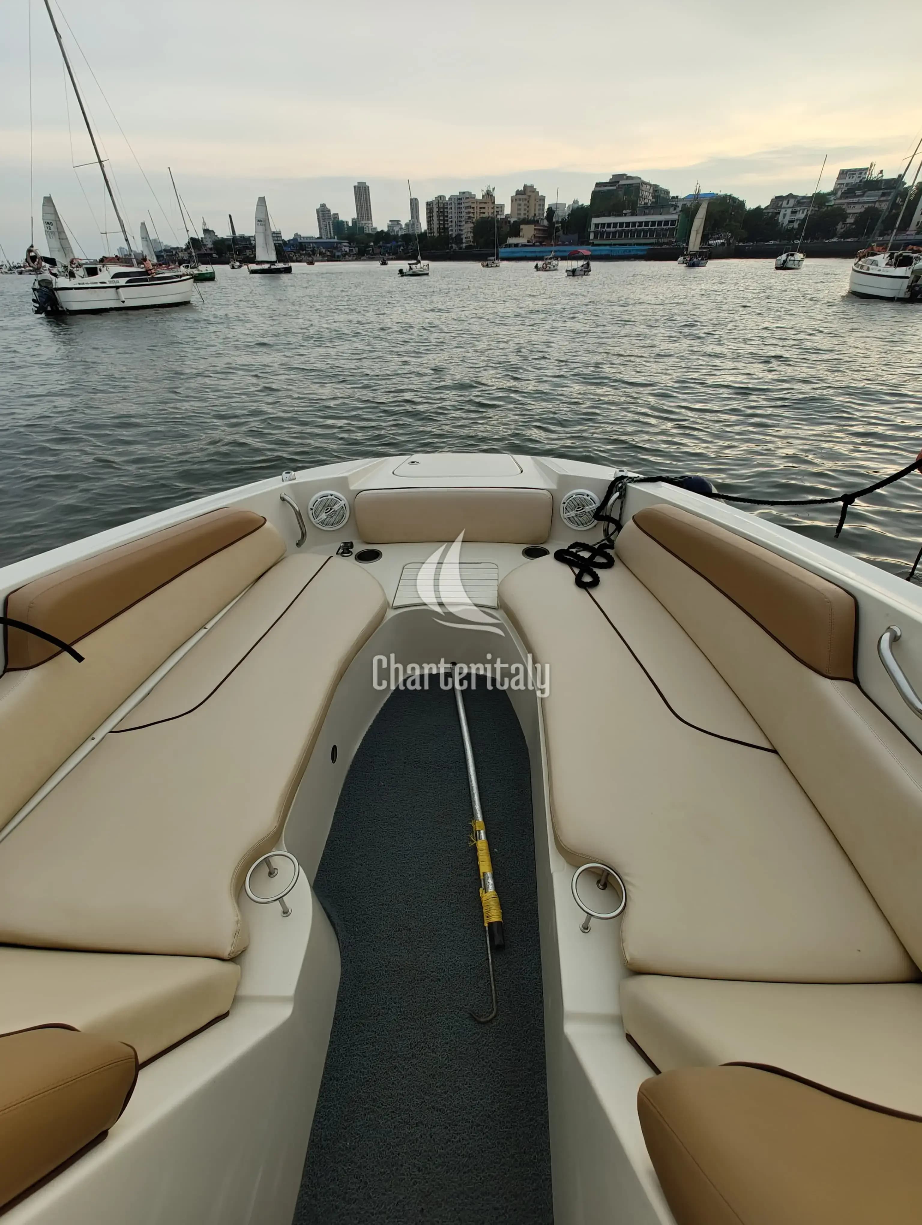 Sea Ray SDX 290 - New Yorker - 6