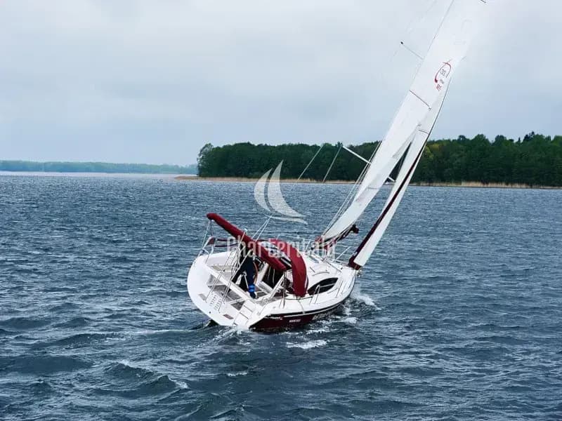 Maxus 33.1 RS Prestige - WIKTORIA - 2