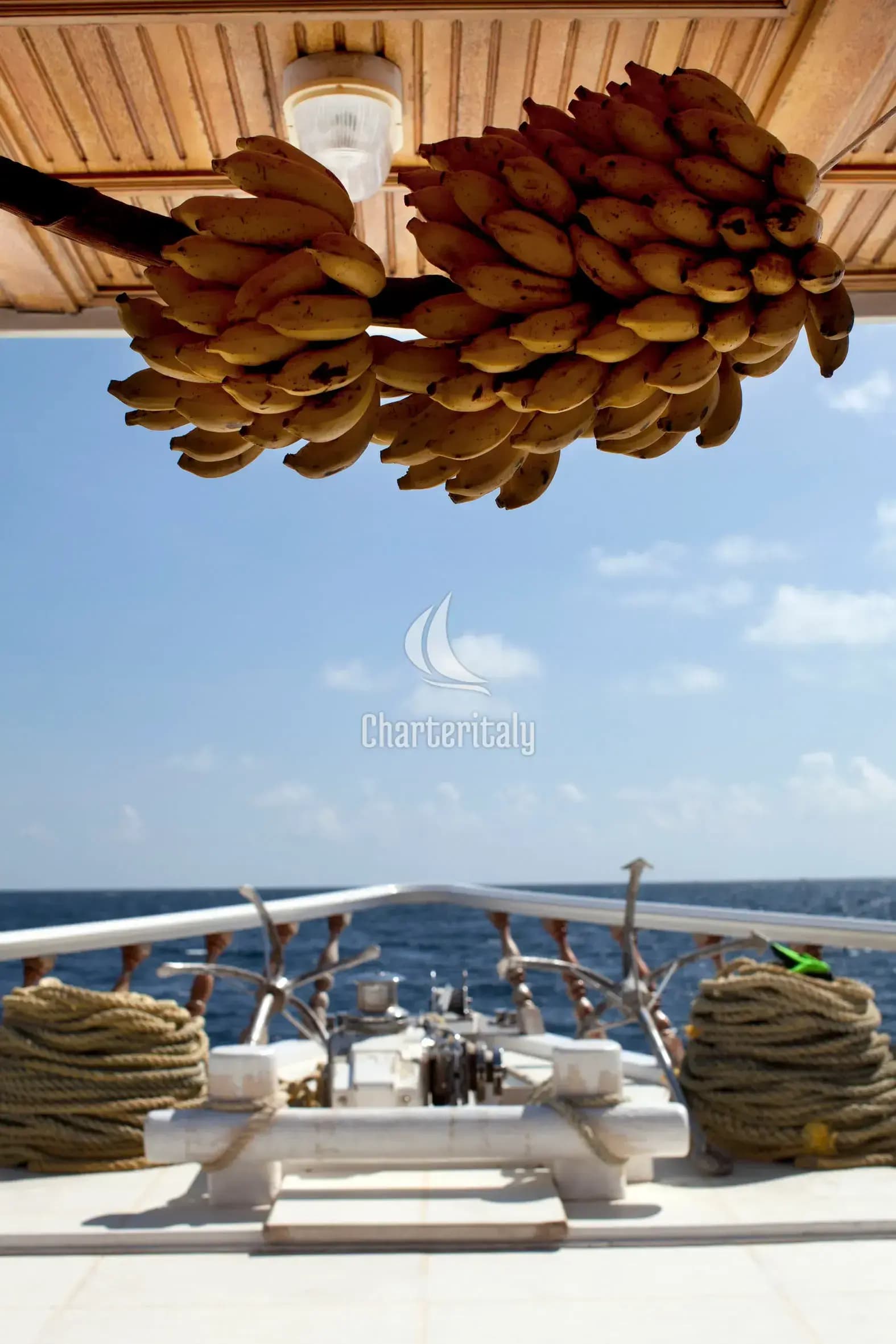 Motoryacht - CAB11 - 9