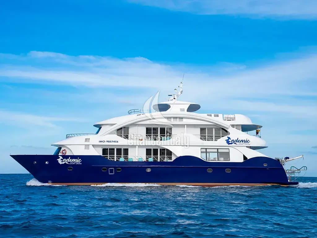 Power Catamaran - Endemic - Cabin 7 - 1