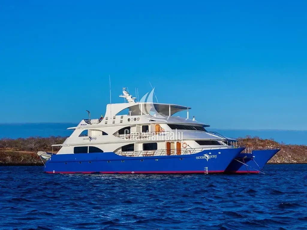 Power Catamaran - Ocean Spray - 1