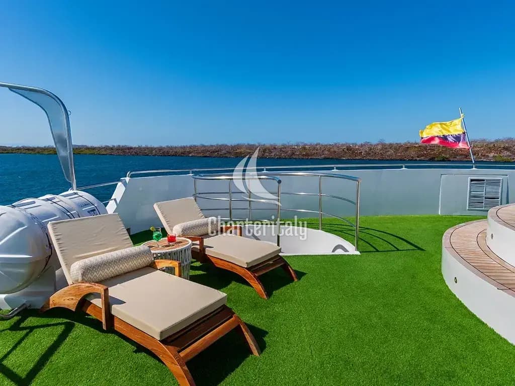 Power Catamaran - Ocean Spray - 7