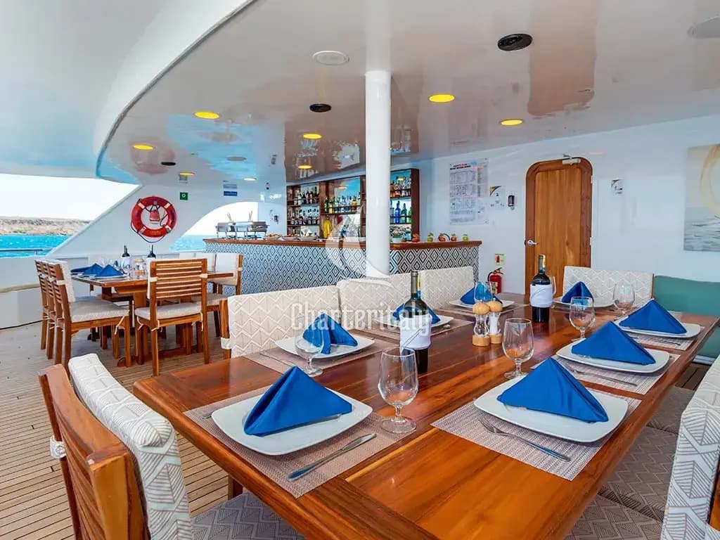 Power Catamaran - Ocean Spray - 8