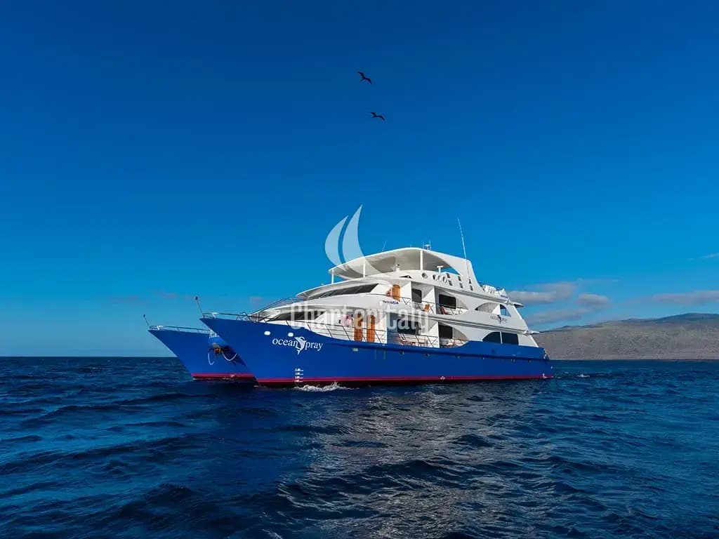 Power Catamaran - Ocean Spray - 9