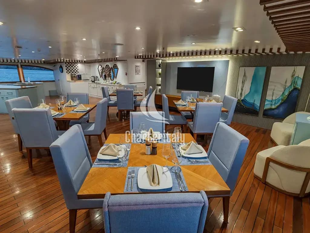 Power Catamaran - Ocean Spray - 2