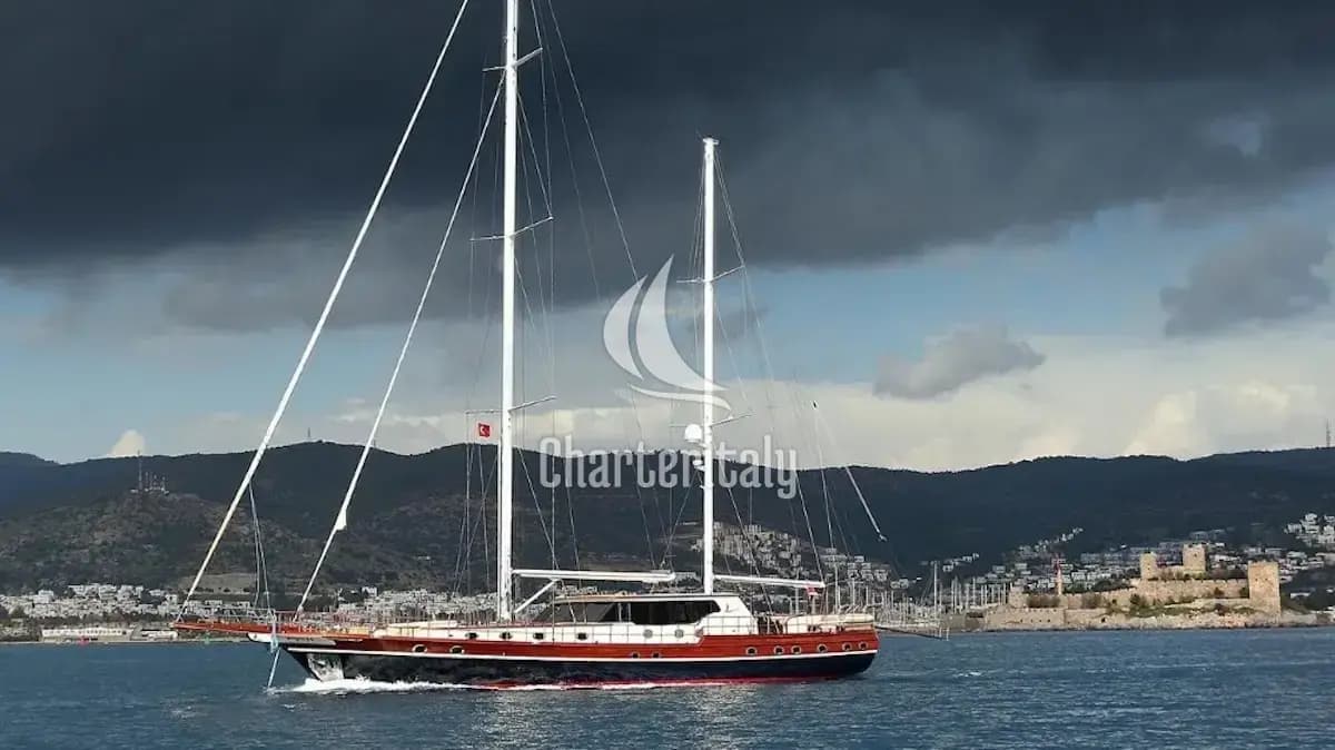 Custom built 183 - DRAGON FLY - 43