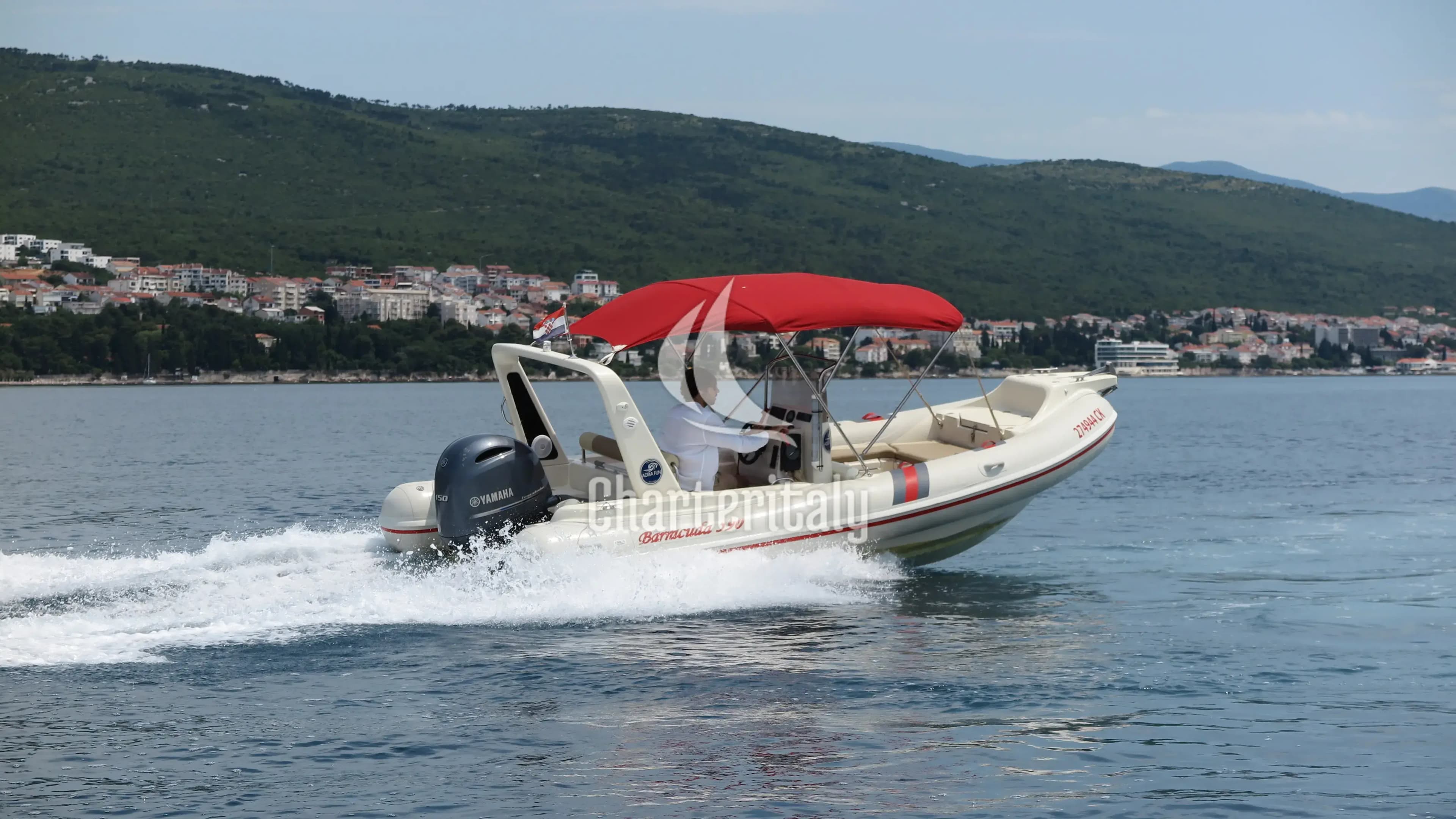Barracuda 590 - Barracuda 590 - 12 - 4