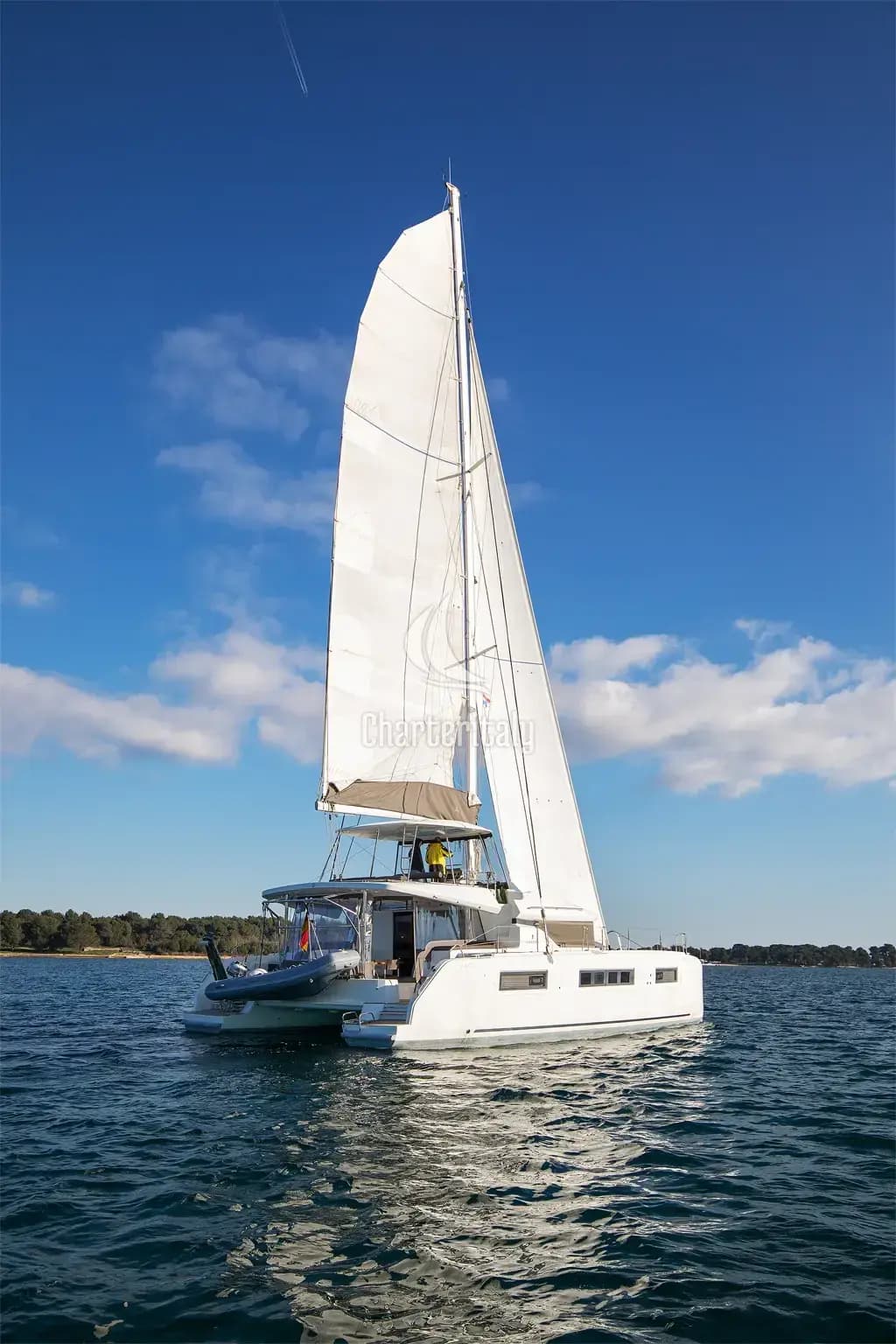 Lagoon 50 - 6 + 1 cab. - Aliana - 4