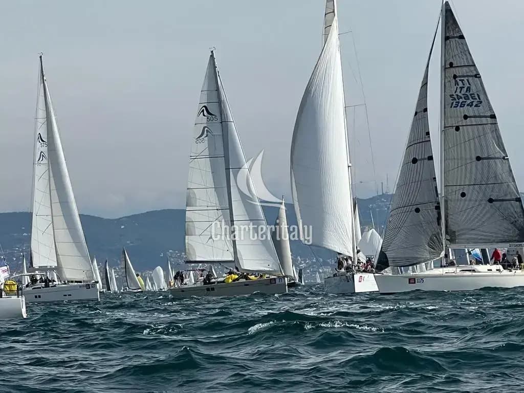 Hanse 505 - Wrungel - 6