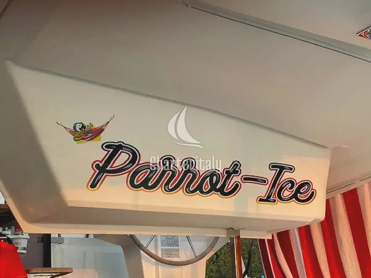Saona 47 - Parrot Ice - 4