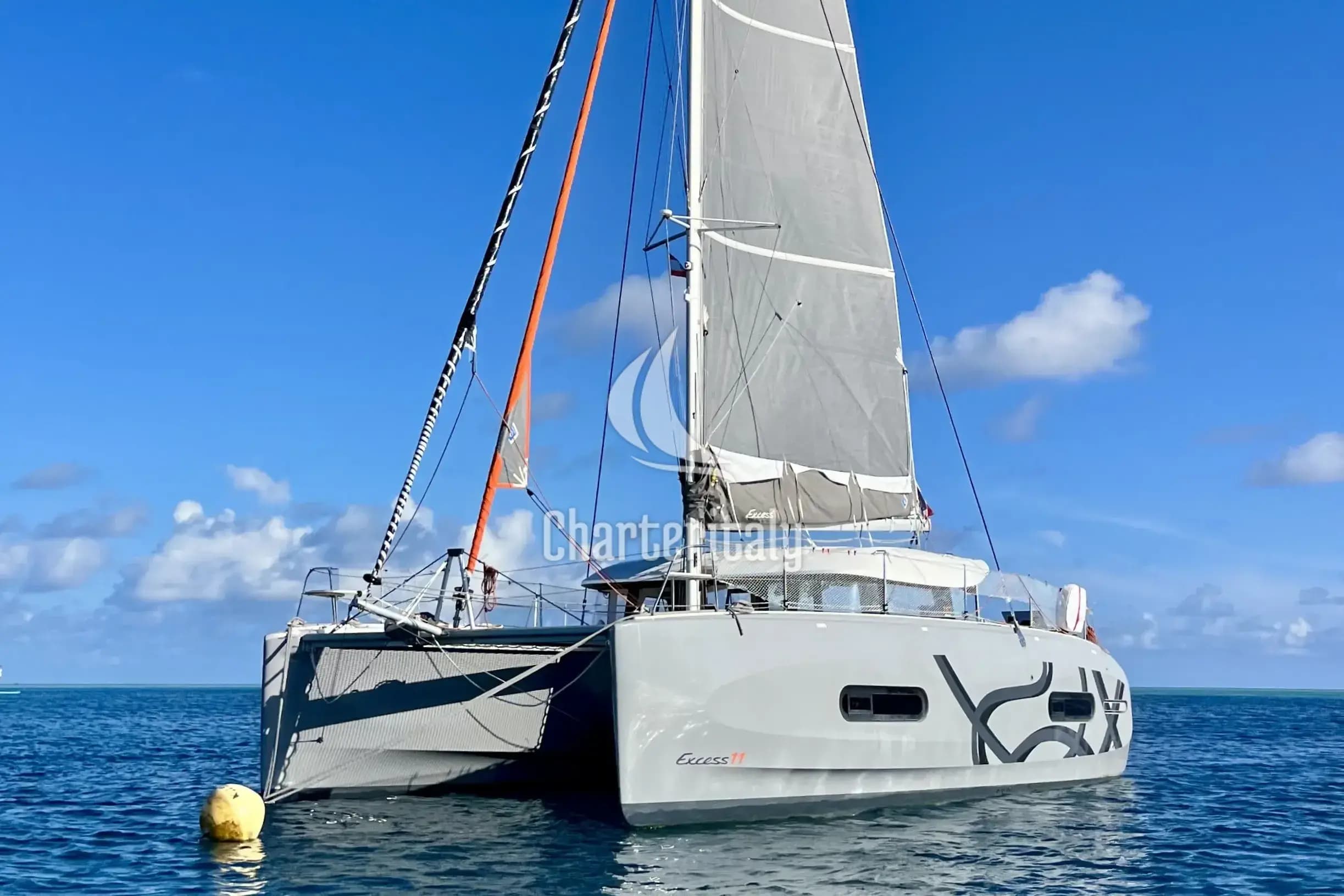 Excess 11 - Albatross - 10