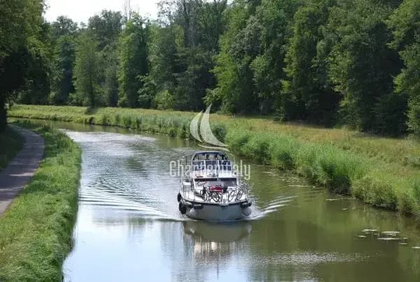 Gruno 38 Royal - 2501 - 9