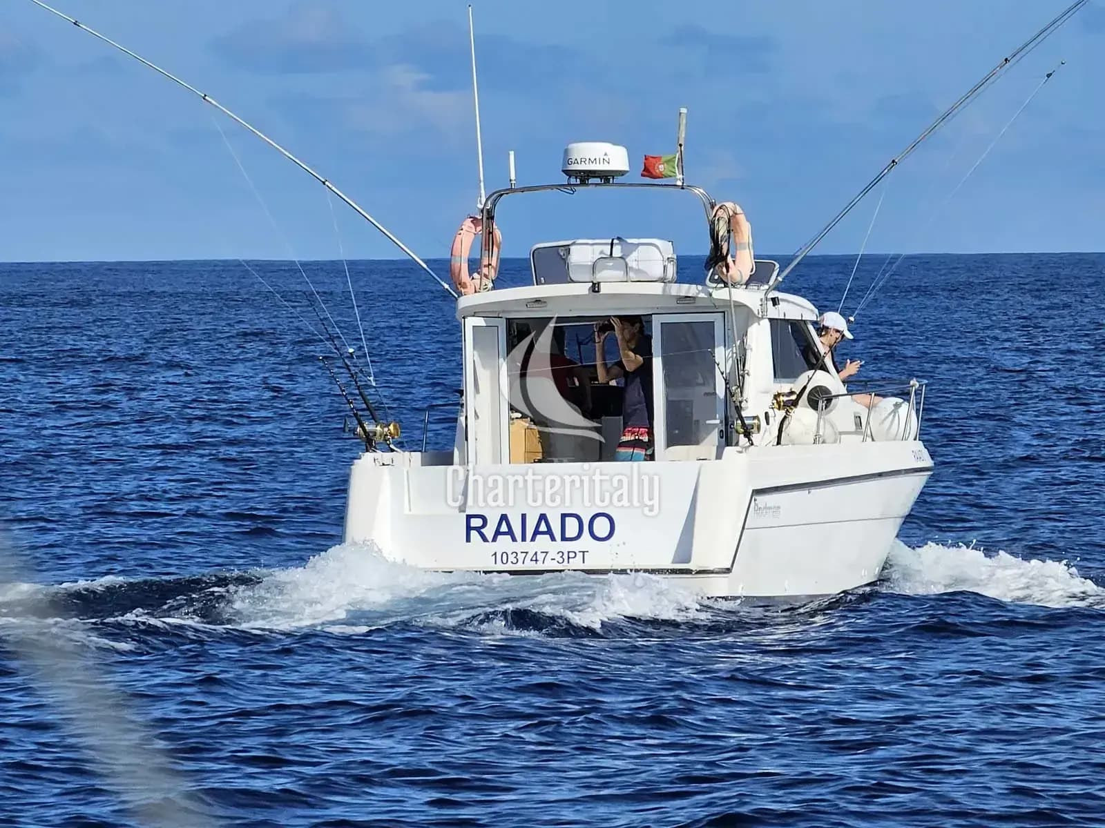 Rodman 900 Fly - Raiado - 7